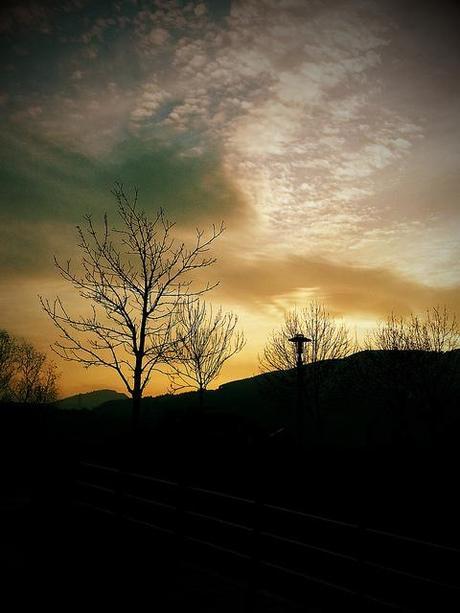 Androidografia Barakaldo 1689