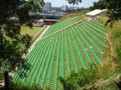 Cancha ecológica