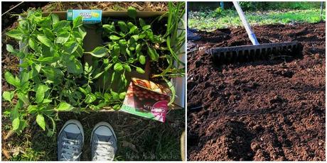 fotografía de hortalizas y de una persona arando la tierra