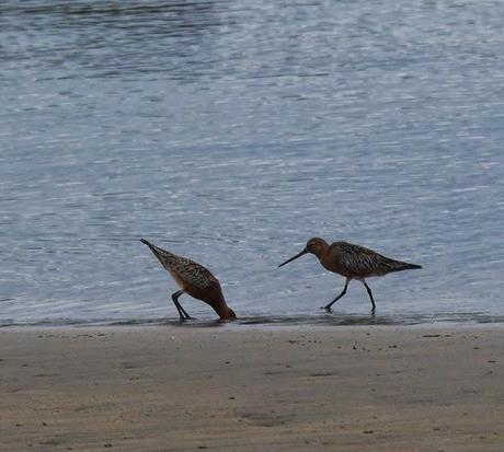 Un rato con las agujas