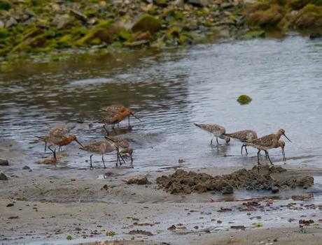 Un rato con las agujas