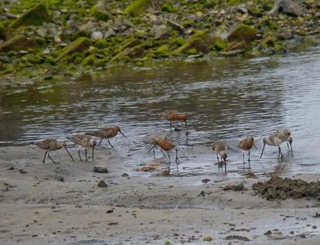Un rato con las agujas