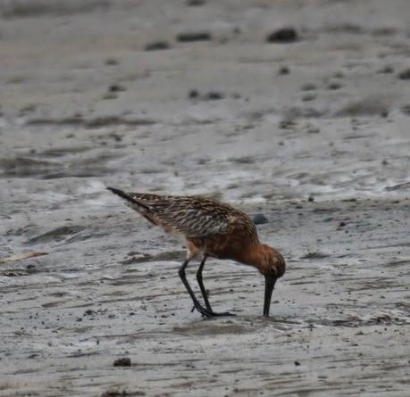 Un rato con las agujas