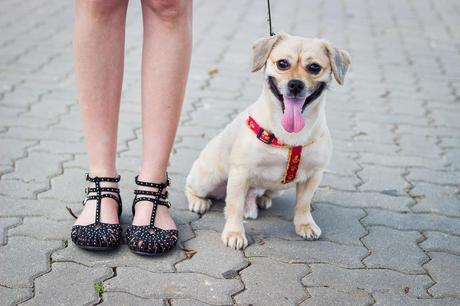 Black And white For Spring Black And white For Spring