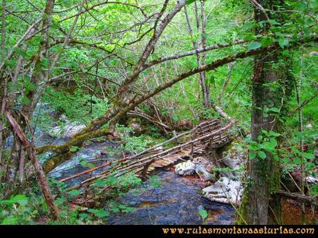 Ruta del Alba: Puente sobre el río Alba Ruta del Alba: Puente sobre el río Alba