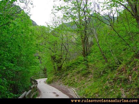 Ruta del Alba: Camino hormigonado junto a la vegetación Ruta del Alba: Camino hormigonado junto a la vegetación