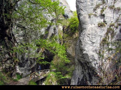 Ruta del Alba: Foces del Alba Ruta del Alba: Foces del Alba