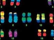 Detección anomalías cromosómicas fetales riesgo