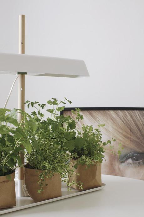 UN COMEDOR PARA UN ARTISTA