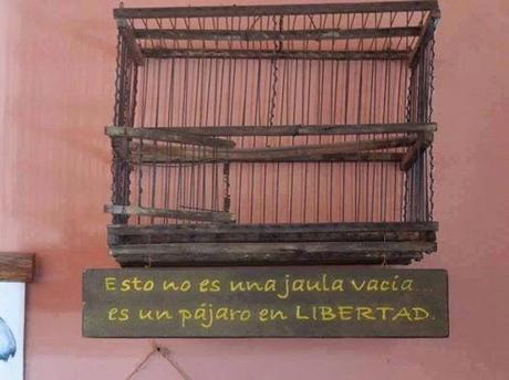 DE LA ESPIRITUALIDAD PROFUNDA A LA INGRÁVIDA