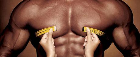 Los músculos, motores del movimiento