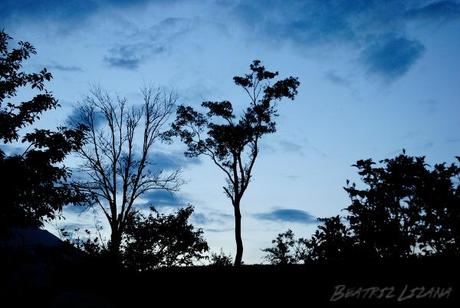 Comentario en El aeropuerto de Castellón y “El hombre avión” por Patricia Cuní