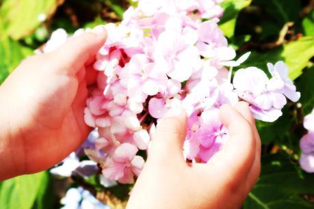 Cosas que puedes hacer para mejorar tu vida bien