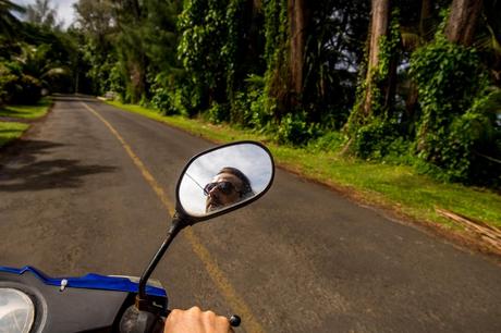 Muy a gusto con nuestra moto. Rarotonga, islas Cook