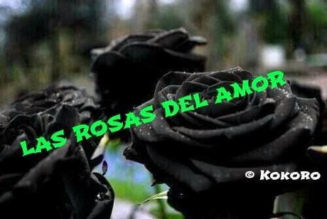 LAS ROSAS DEL AMOR