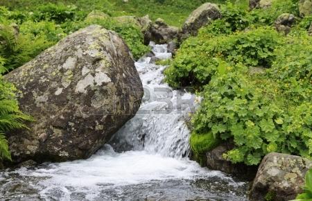 Poesías para trabajar el agua