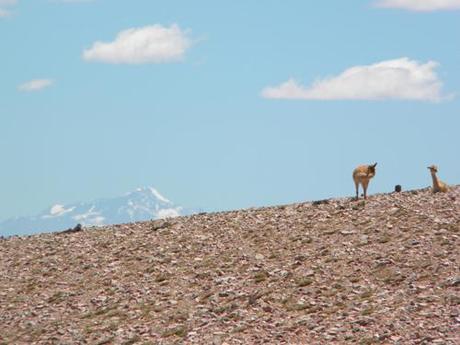Turismo aventura en San Juan.