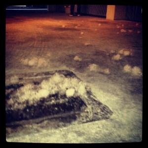 Bolas de polen listas para la lucha