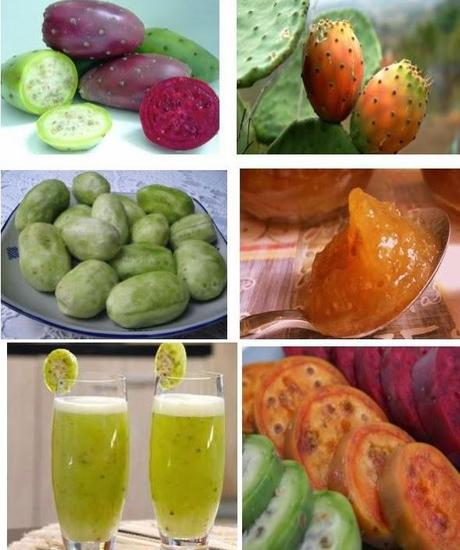 LA TUNA IMPORTANTES PROPIEDADES TERAPEUTICAS