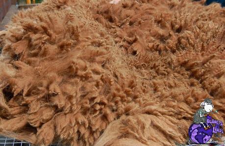 2102.- Lana según su fibra base: alpaca 2102.- Lana según su fibra base: alpaca