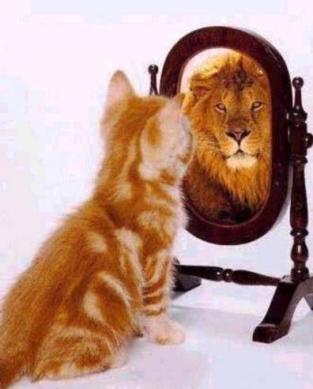 Consejos de un cirujano veterinario metido a coach