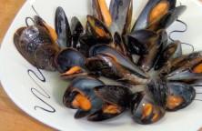 Mejillones- al vapor