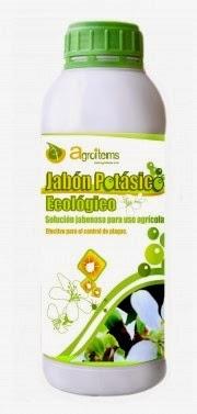 ¡Guerra al pulgón!