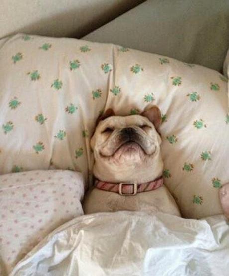 CURRENTLY OBSESSED #2: abril 14