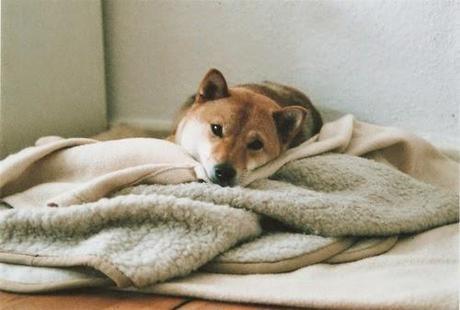 CURRENTLY OBSESSED #2: abril 14