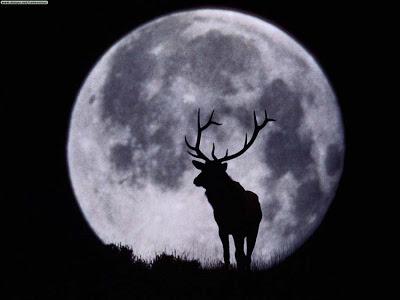 Luna de Septiembre