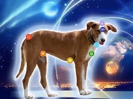 Energías CruzadasPor Daniel.A.Araiz EsquivelAl igual que ... Energías CruzadasPor Daniel.A.Araiz EsquivelAl igual que ...