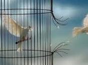 Somos Libres