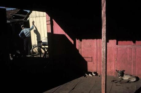 FOTÓGRAFOS: ALEX WEBB