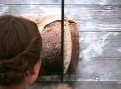 Social Swipe, tarjeta milagrosa