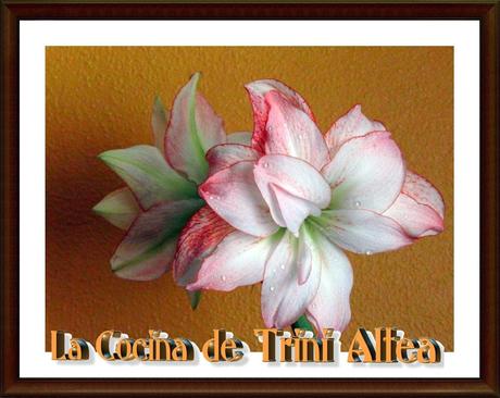 GRACIAS SONIA POR ESTAR AHÍ EN MIS MALOS MOMENTOS