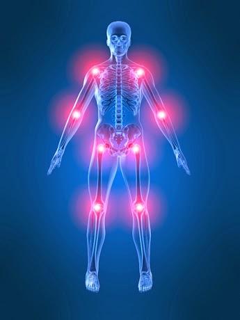 Las primeras rotaciones