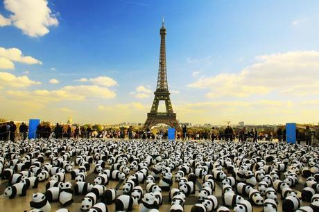 pandas-at-eiffel_tower