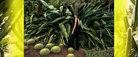 Stradivarius Summer 2014