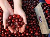 múltiples beneficios Cereza Jerte
