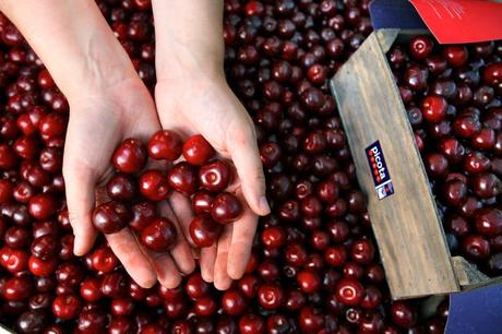 Los múltiples beneficios de la Cereza del Jerte