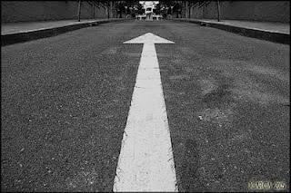 Bloggers! Dorado y más