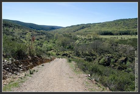 Ruta la Roblelacasa-Cascada de los Aljibes