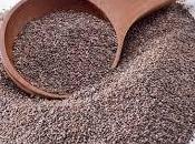 Canihua: aminoácidos, minerales,vitaminas Omega semilla