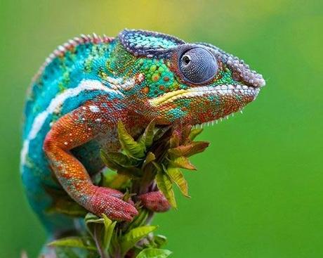 La mejor época de tu vida