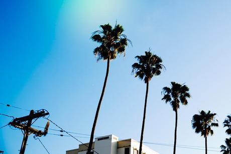 Santa_Monica-Travels-California_Road_Trip-Levis-Outfit-Street_Style-4