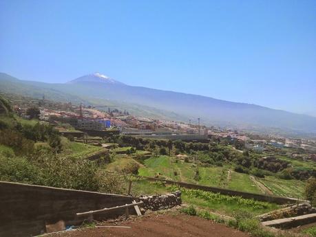 Vistas desde Guachinche Bullicio