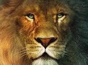 Soñar león leones. Significado real sueños
