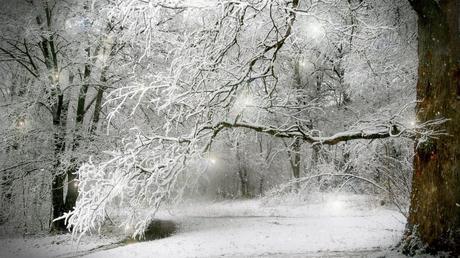 soñar con nevada,sueño que nieva,soñar con nieve