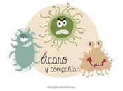 amigos primavera