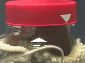 Geniales habilidades pulpos